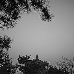 《潜渊症》发布“叛离潮汐”1.1版本更新 叛逆者系统重做